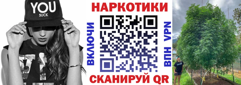 Где купить наркоту Бакал Конопля  Героин  Псилоцибиновые грибы  ГАШ  COCAIN  Альфа ПВП  Мефедрон 