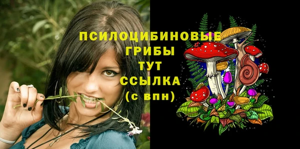 метадон Арсеньев