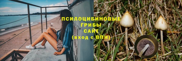 не бодяженный Аркадак