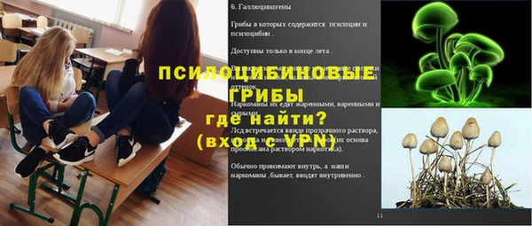 метадон Арсеньев